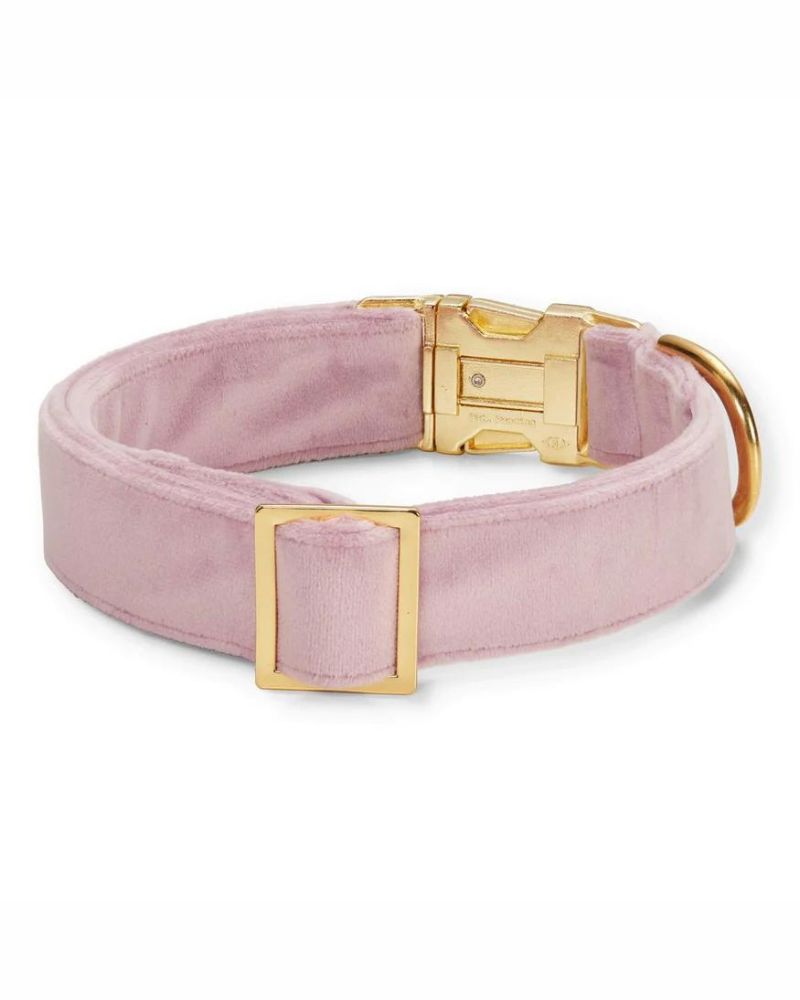 Lilac Velvet Dog Collar (Made in the USA) (FINAL SALE) WALK THE FOGGY DOG   