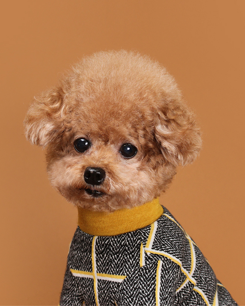 Check Tee for Dogs in Mustard Yellow (FINAL SALE) Wear HUTS & BAY Small  