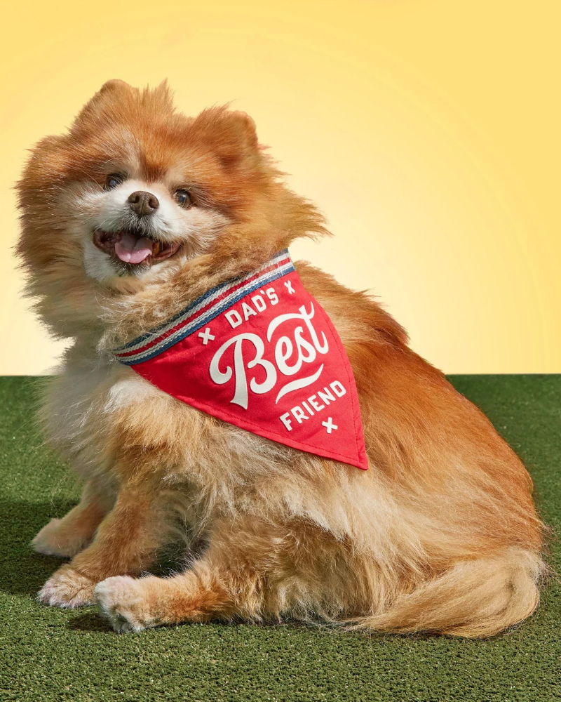 Dad's Best Friend Dog Bandana (FINAL SALE) Wear Chronicle Books   
