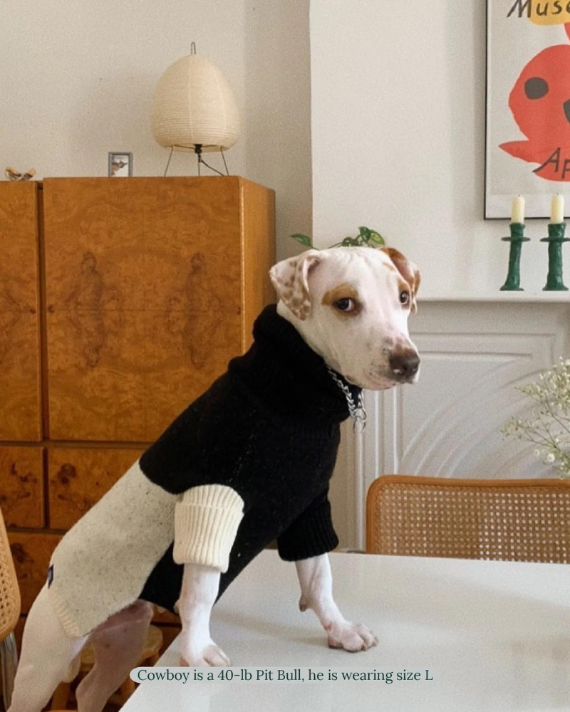 U + Me Dog Sweater (FINAL SALE) Wear LITTLE BEAST   