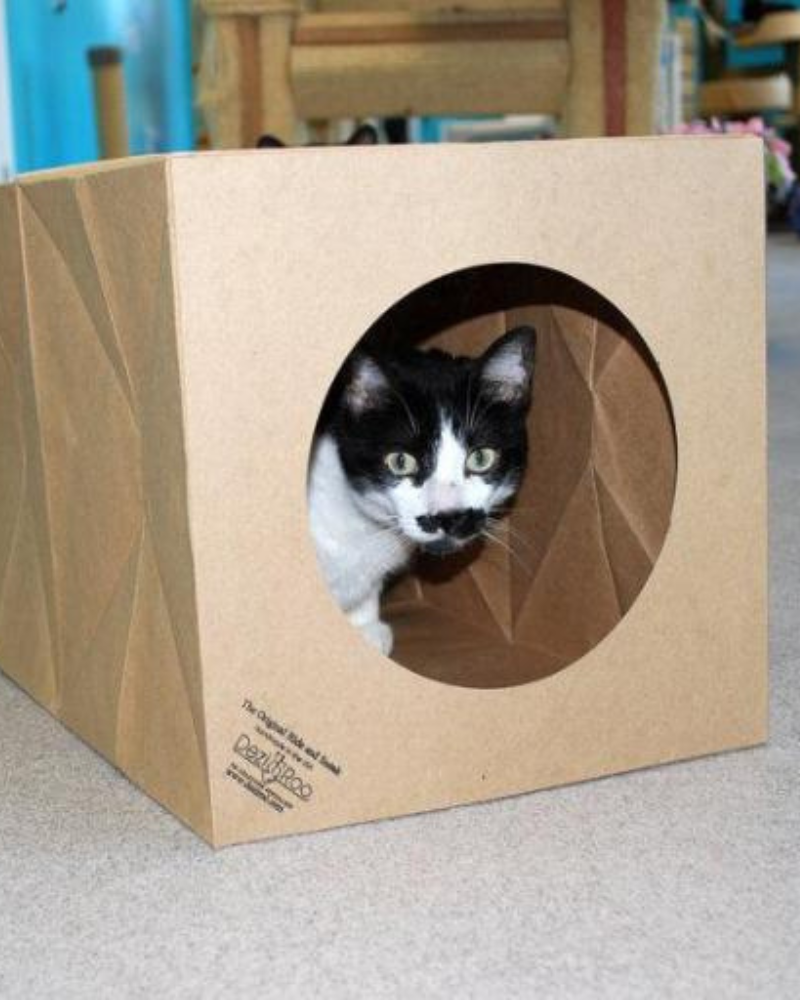 Hide and Sneak Cat Toy Tunnel (Made in the USA) Play DEZI & ROO   