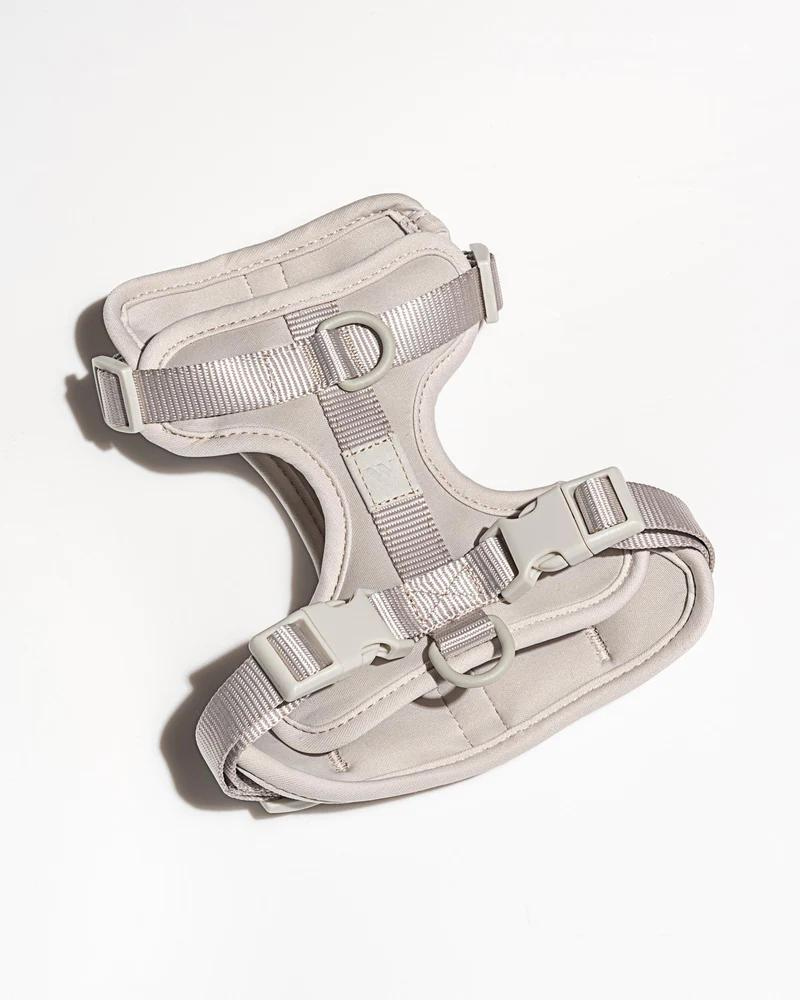 Cushioned Dog Harness in Grey (FINAL SALE) WALK WILD ONE   