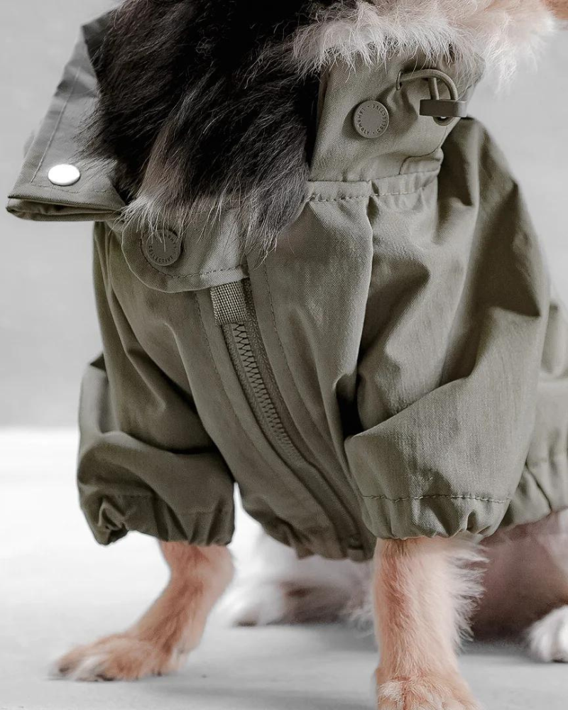 Brooklyn Nylon Water Resistant Dog Jacket (FINAL SALE) Wear LAMBWOLF COLLECTIVE   