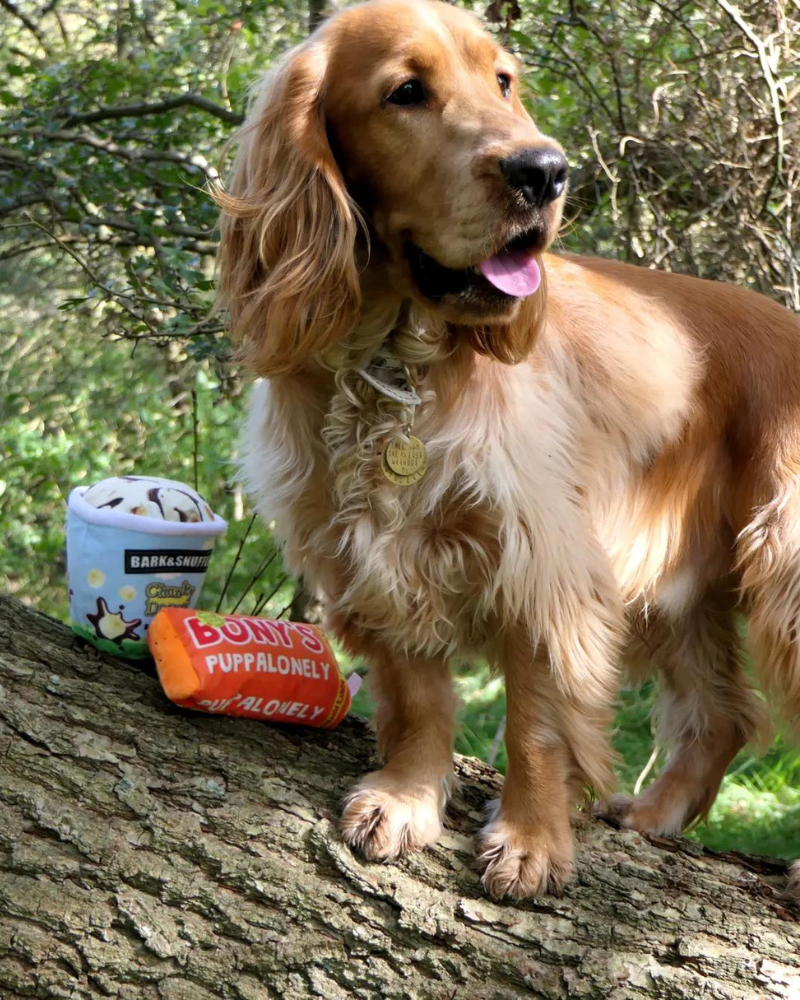 PAWSTORY | Bark & Snuffle Chunky Doggy Ice Cream | DOG & CO.