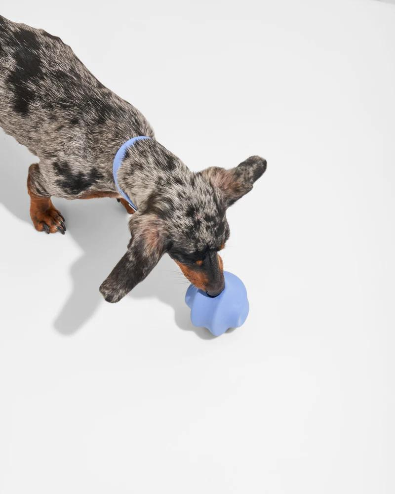 Twist Toss Dog Toy in Moonstone Play Wild One   