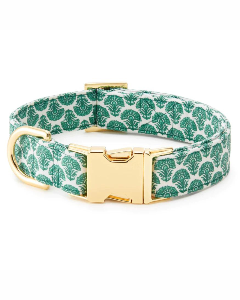 Verde Boho Dog Collar (Made in the USA) (FINAL SALE) WALK THE FOGGY DOG   