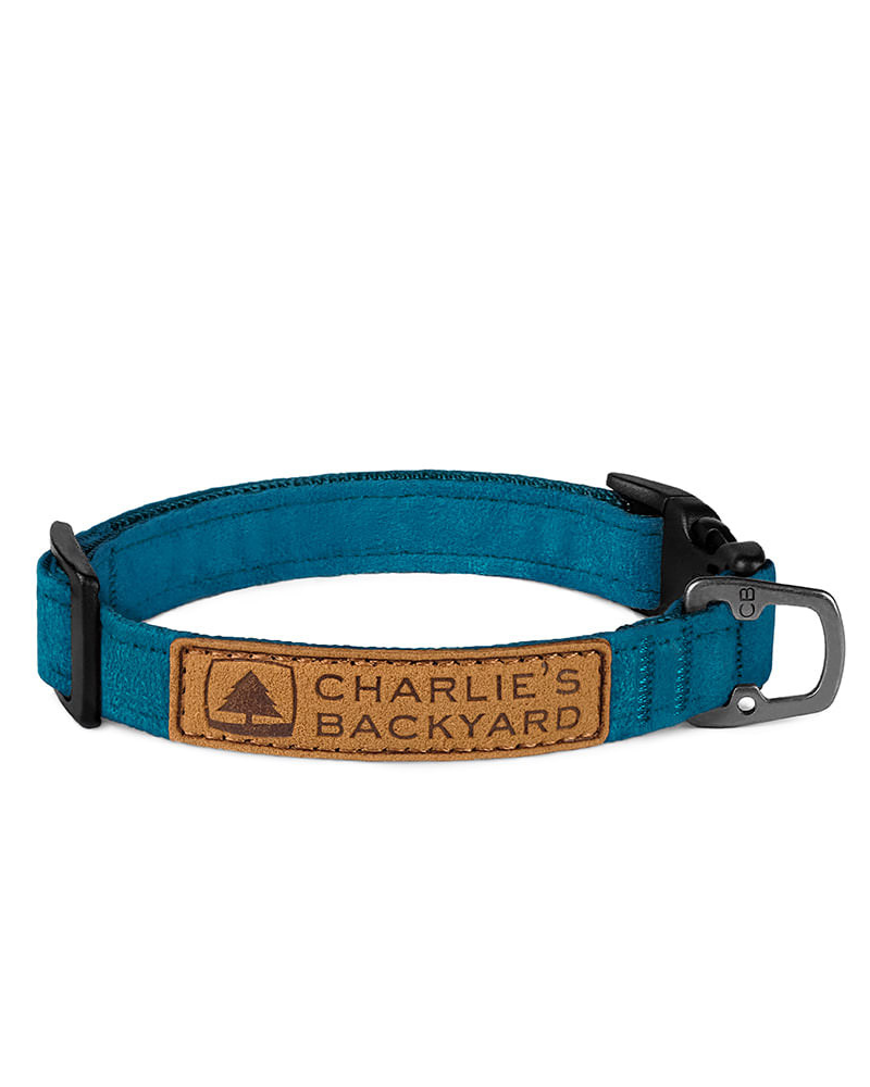 Easy Dog Collar in Teal (FINAL SALE) WALK CHARLIE'S BACKYARD   