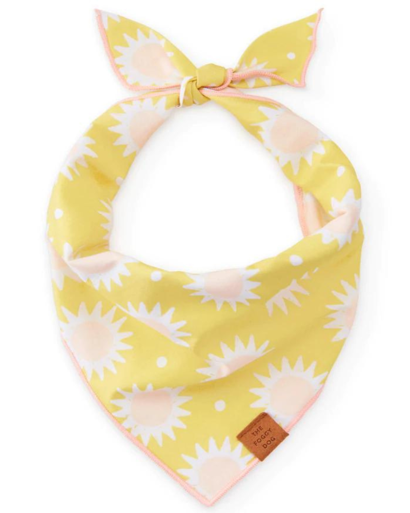 Fun in the Sun Dog Bandana (Made in the USA) (FINAL SALE) Wear THE FOGGY DOG   