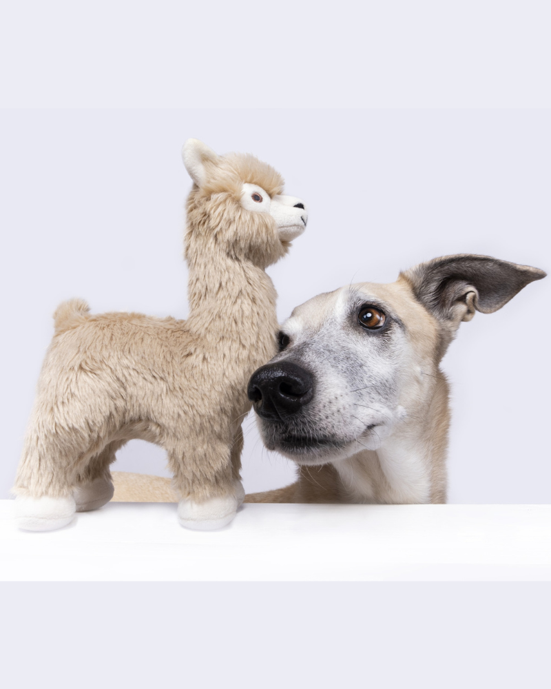 Inca Alpaca Squeaky Plush Dog Toy Play FLUFF & TUFF   