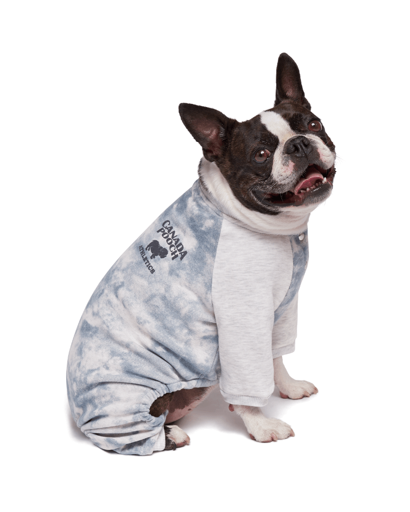 Frosty Fleece Dog Sweatsuit in Grey Tie-Dye (CLEARNACE) Wear CANADA POOCH   