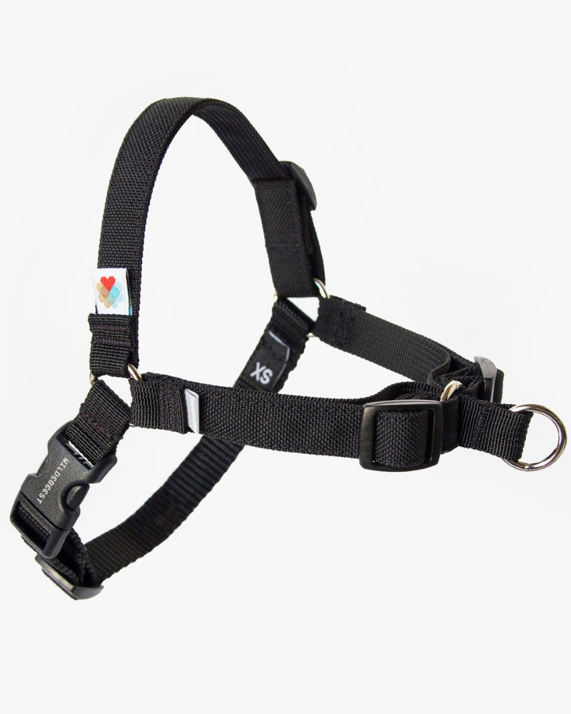 Linden No Pull Front Clip Dog Harness WALK WILDEBEEST   