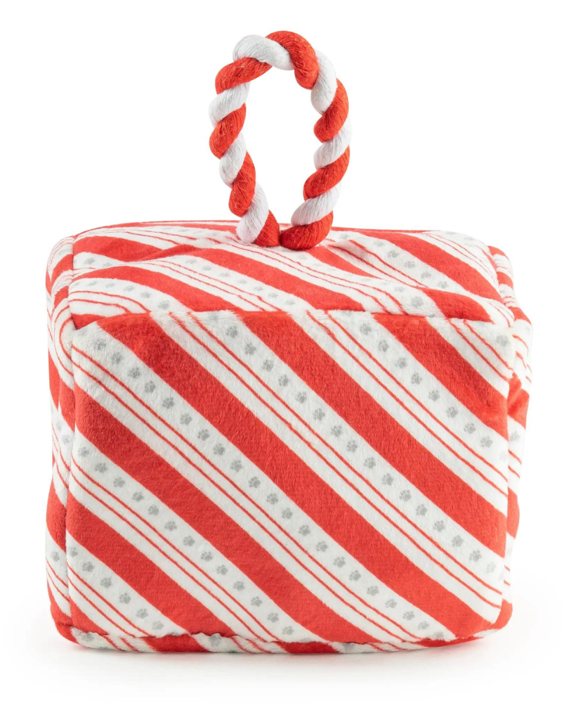 Puppermint Bark Interactive Dog Active Toy Set Play HAUTE DIGGITY DOG