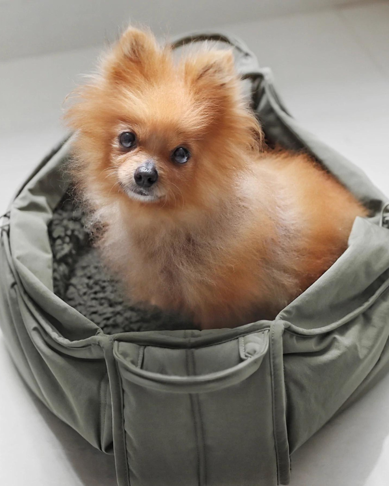 Olla Petite Pet Crossbody Bag Carry LAMBWOLF COLLECTIVE Fern  