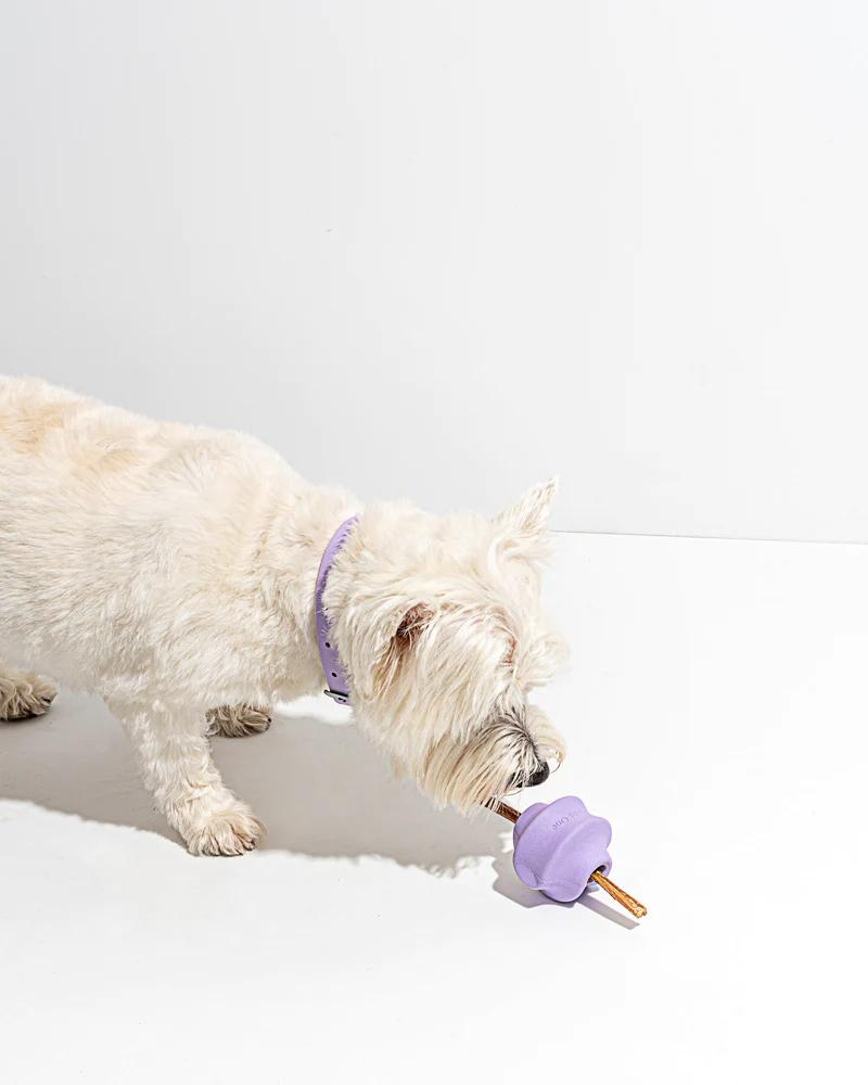 Twist Toss Dog Toy in Lilac Play Wild One   