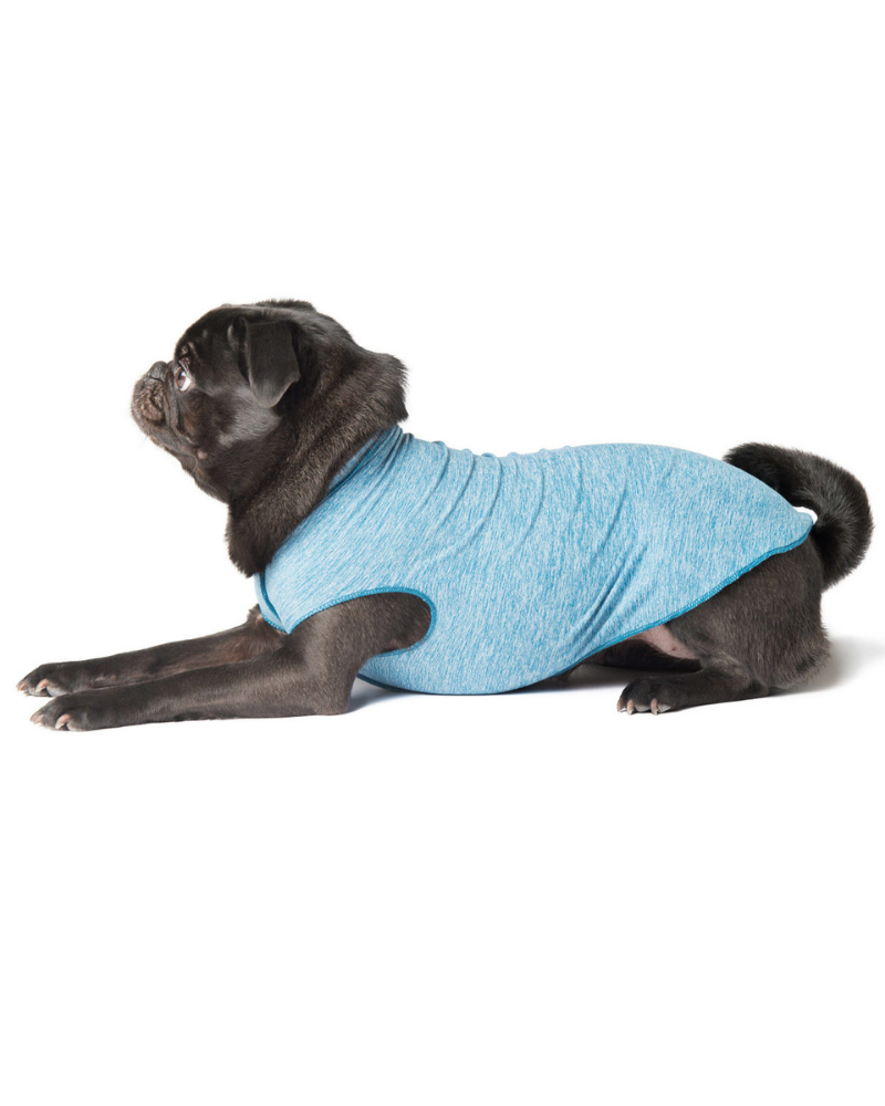 Sun Shield Dog Tee in Ocean Blue (Made in the USA) << CLEARANCE >> Wear GOLD PAW   