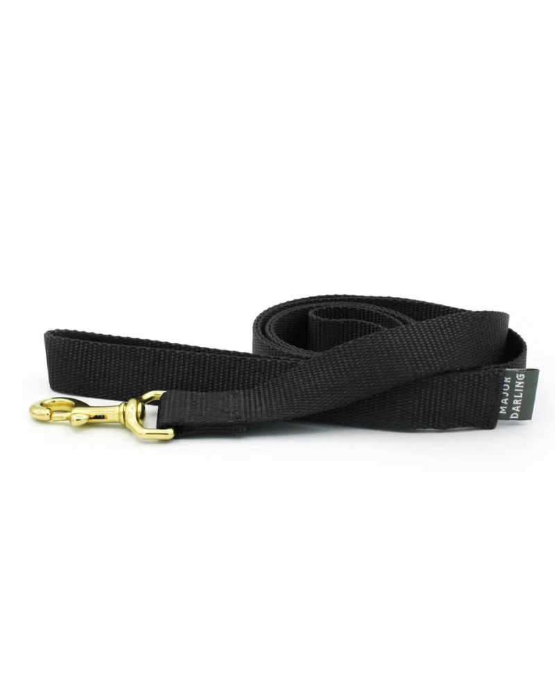 Basic Nylon Dog Leash in Black (Made in the USA) WALK MAJOR DARLING   