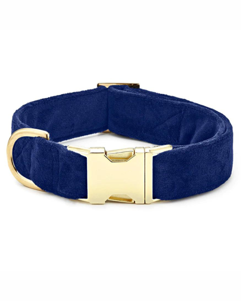 Navy Velvet Dog Collar (Made in the USA) (FINAL SALE) WALK THE FOGGY DOG   