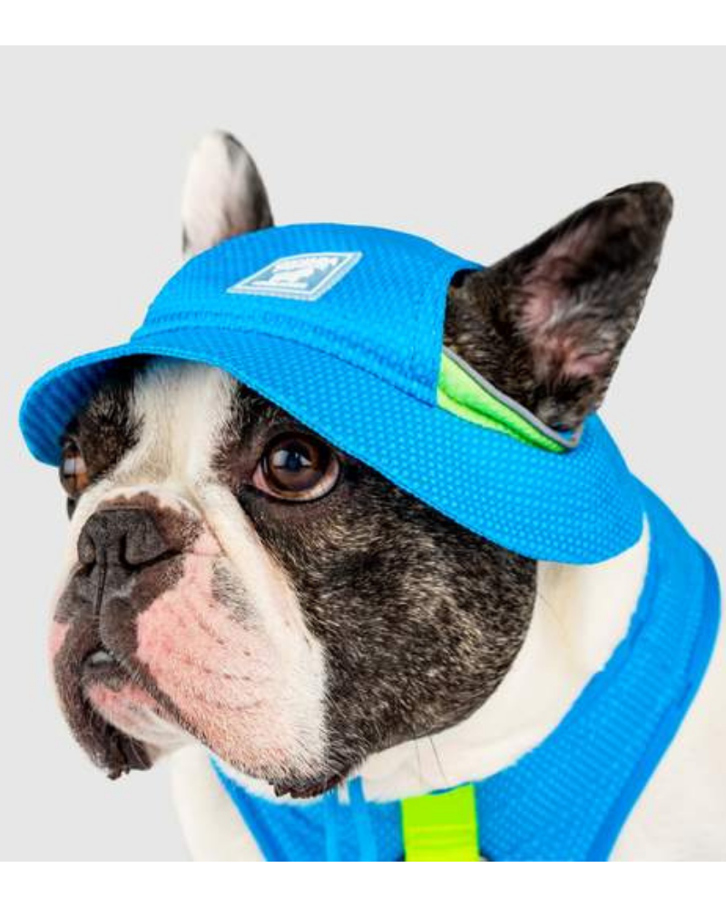 Chill Seeker Cooling Dog Hat << CLEARANCE >> Wear CANADA POOCH   