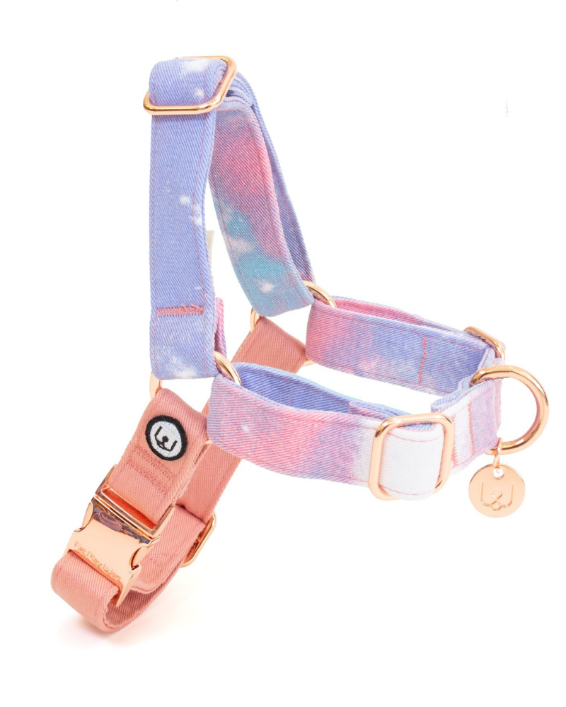 Adjustable No-Pull Dog Harness in Cotton Candy<br>(FINAL SALE) WALK EAT PLAY WAG   