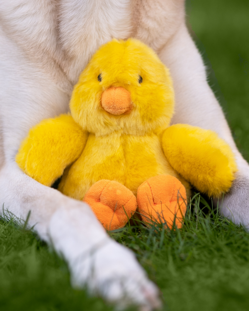 Howie Duck Plush Squeaky Dog Toy Play FLUFF & TUFF   