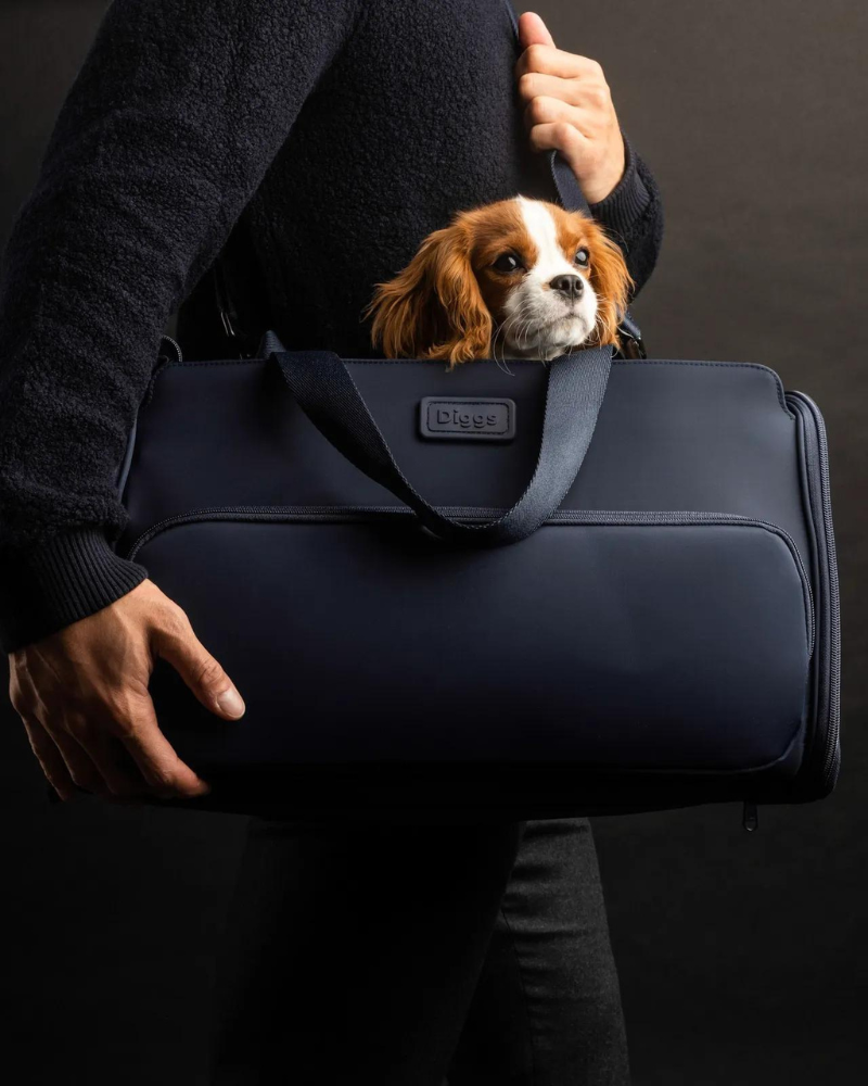 Passenger Travel Pet Carrier (Airline-Friendly) Carry DIGGS   