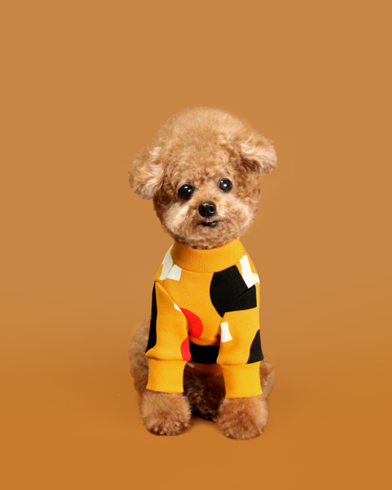 Colorful Design Dog Sweatshirt in Mustard Yellow (FINAL SALE) Wear HUTS & BAY   