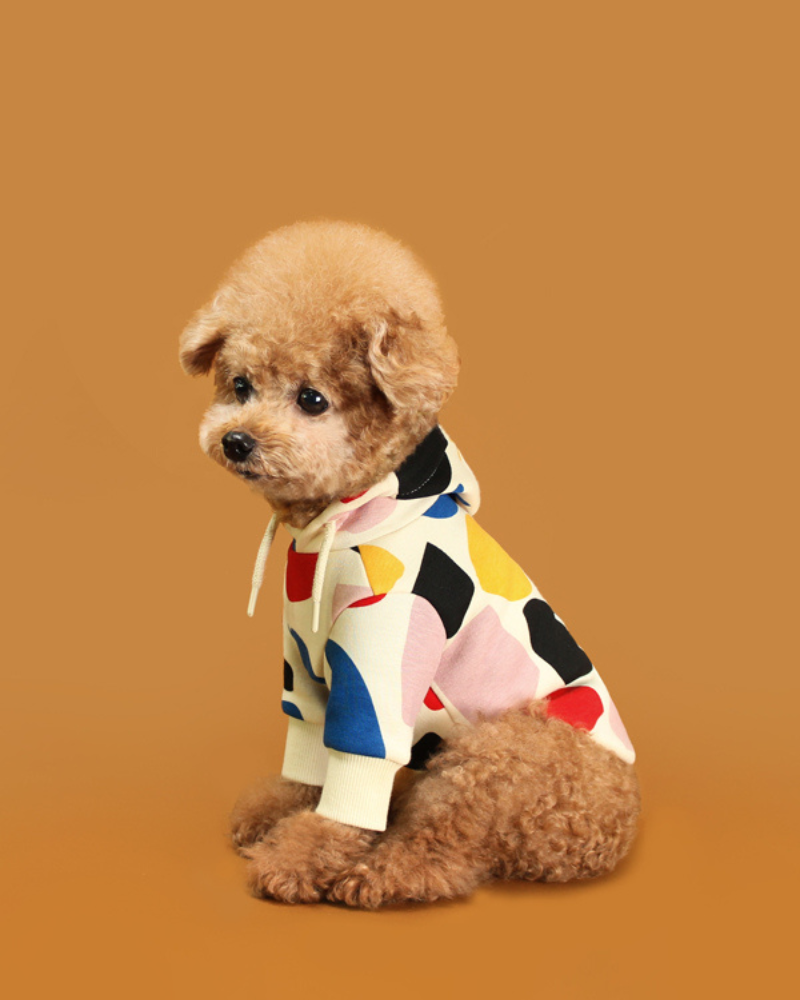 Colorful Design Dog Hoodie in Ivory Wear HUTS & BAY   