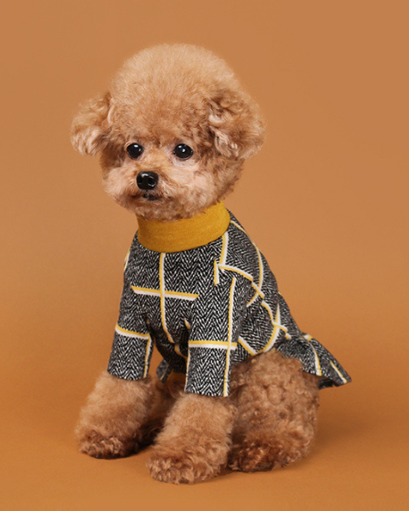 Check Dress for Dogs in Mustard Yellow (FINAL SALE) Wear HUTS & BAY   