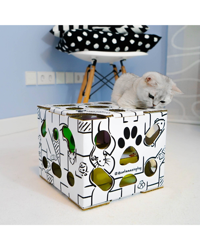 Sliders Puzzle Cat Toy << FINAL SALE >> CAT CAT AMAZING   