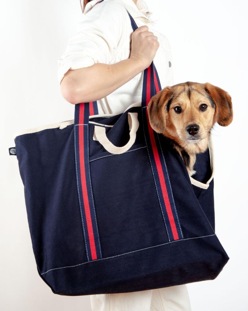 City Carrier Dog Bag in Size 3 Carry DOG & CO. COLLECTION Navy  