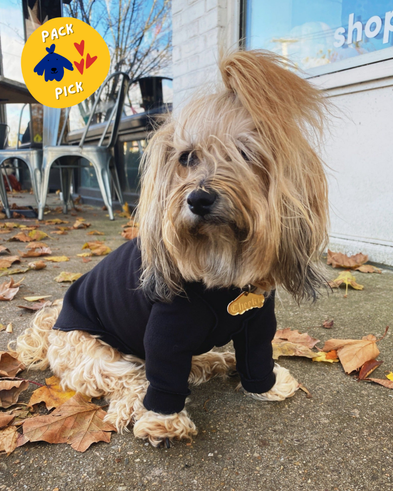 Long-Sleeve Pullover Stretch Dog Fleece in Black (Made in the USA, Dog & Co. Exclusive!) Wear DOG & CO. COLLECTION   