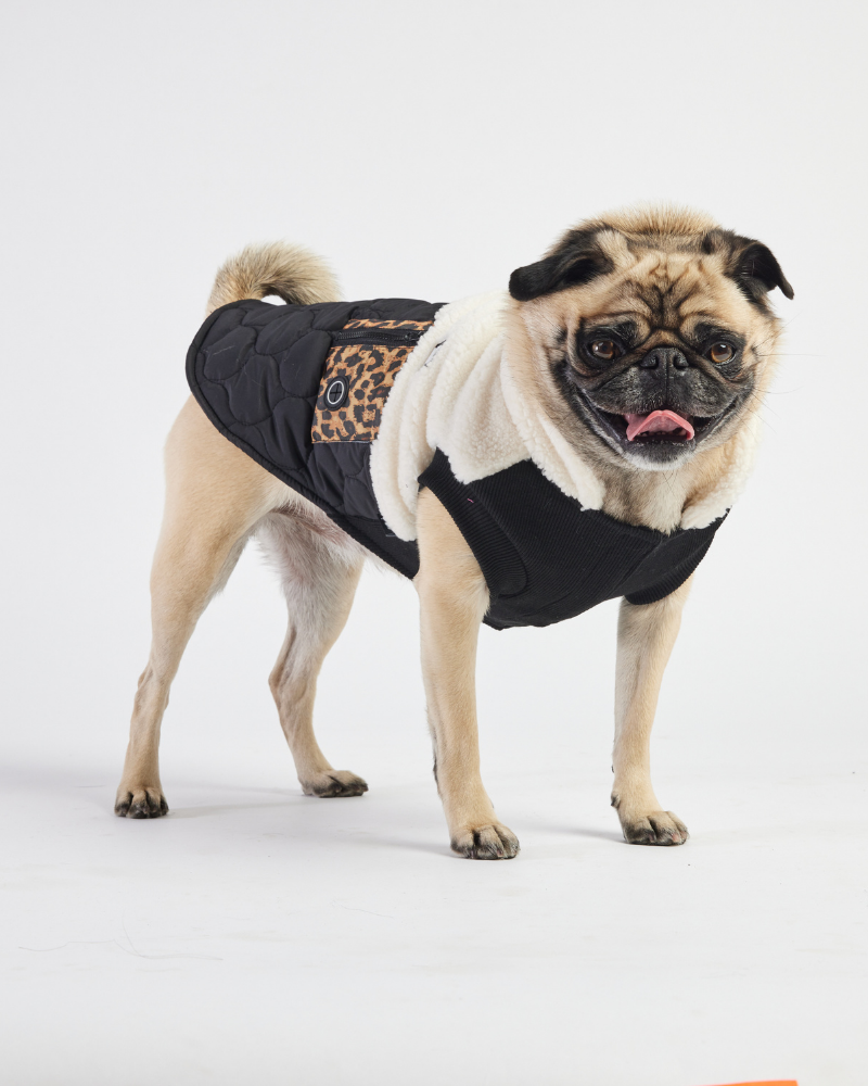 Loki Sherpa + Leopard Quilted Dog Jacket<br>((FINAL SALE)) Wear SILVER PAW   