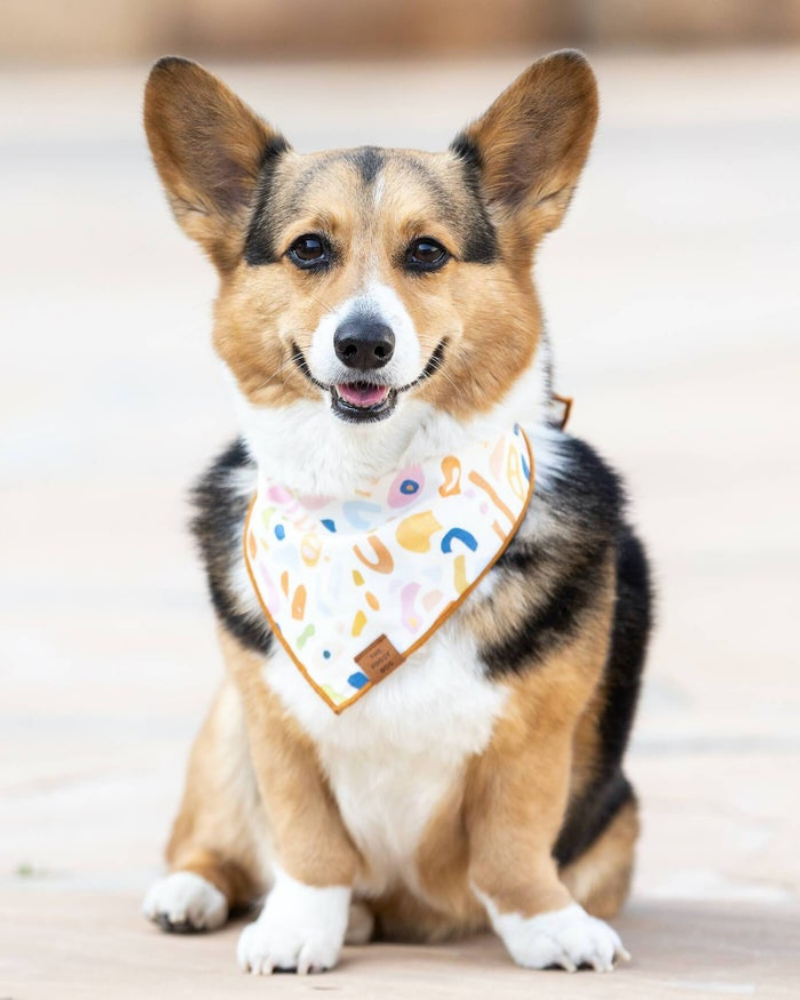 Alja Horvat Terrazzo Dog Bandana (Made in the USA) Wear THE FOGGY DOG   