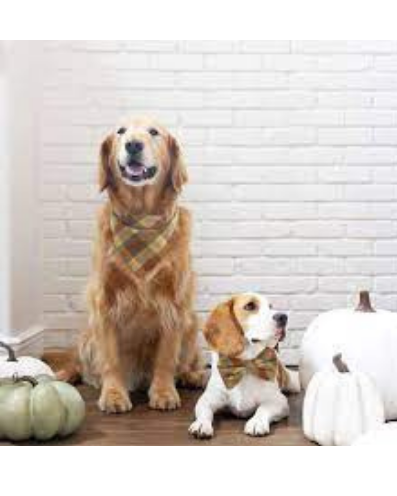 Harvest Plaid Flannel Dog Bandana (Made in the USA) Wear THE FOGGY DOG   