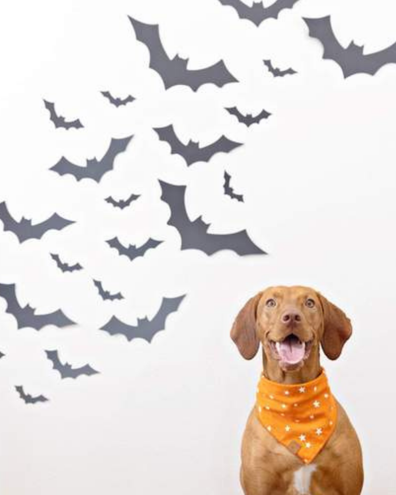 Going Batty Reversible Dog Bandana (Made in the USA) Wear THE FOGGY DOG   
