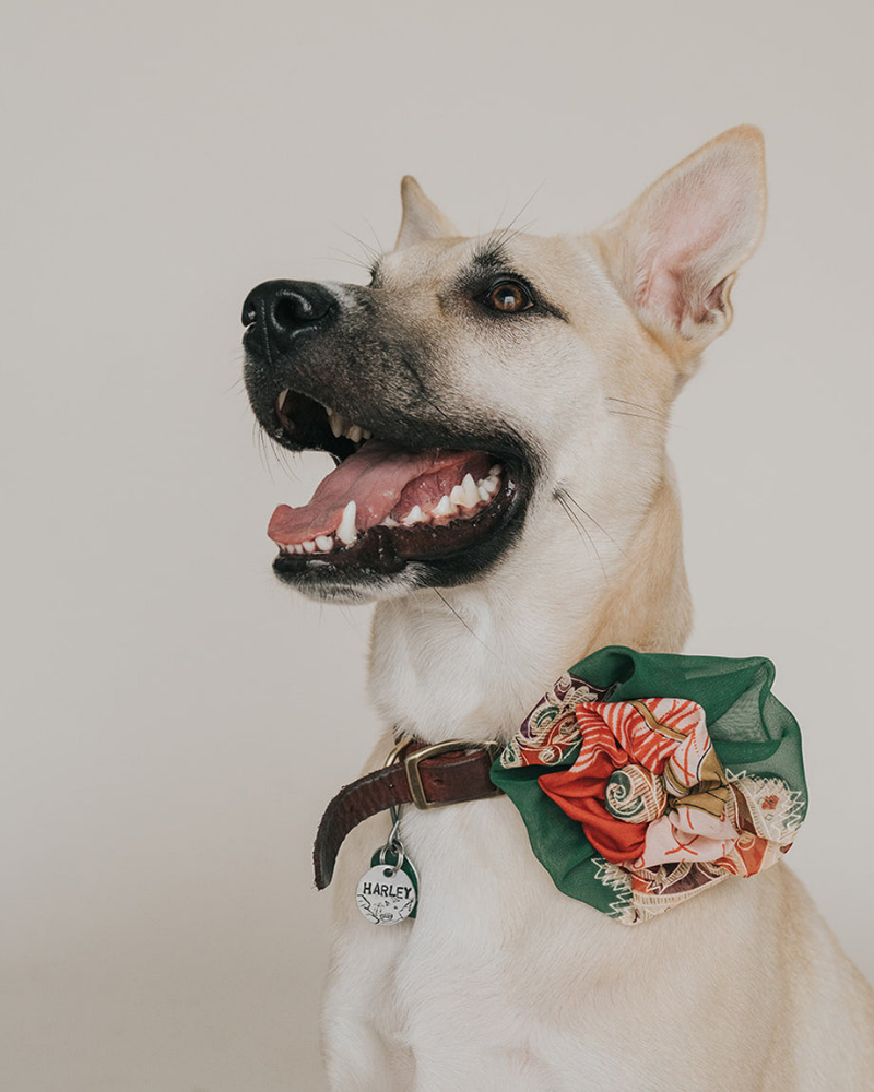 Upcycled Fabric Collar Flower - Assorted Colors<br>(FINAL SALE) Accessories MATR BOOMIE   