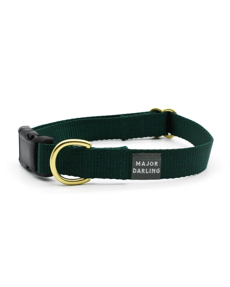 Dream Parma Dog Collar