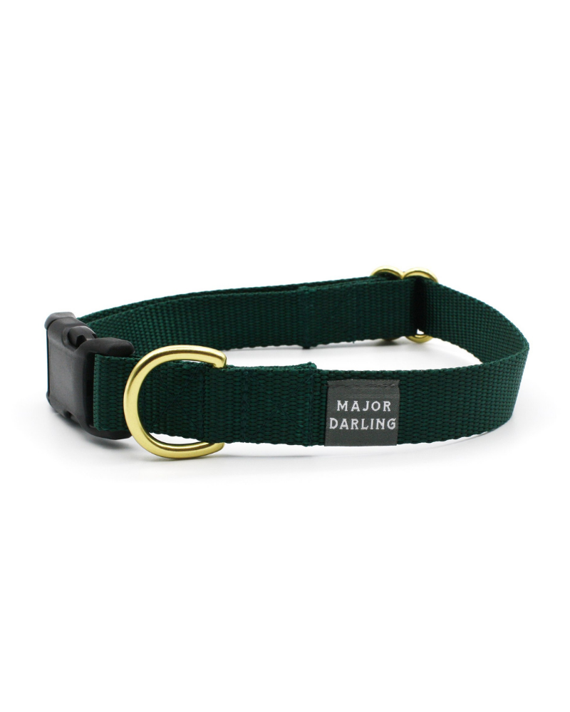 Side-Release Buckle Dog Collar in Evergreen (Made in the USA) WALK MAJOR DARLING   