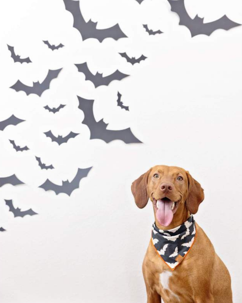 Going Batty Reversible Dog Bandana (Made in the USA) Wear THE FOGGY DOG   
