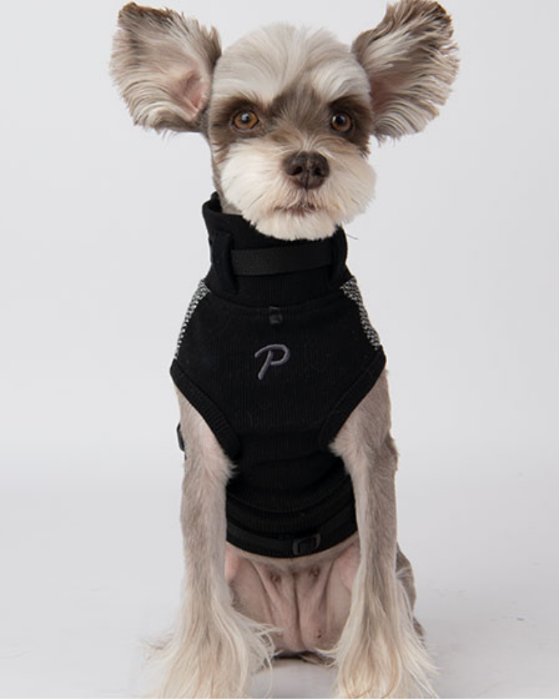 Gaspar Dog Harness Vest in Black Houndstooth Wear PUPPIA   