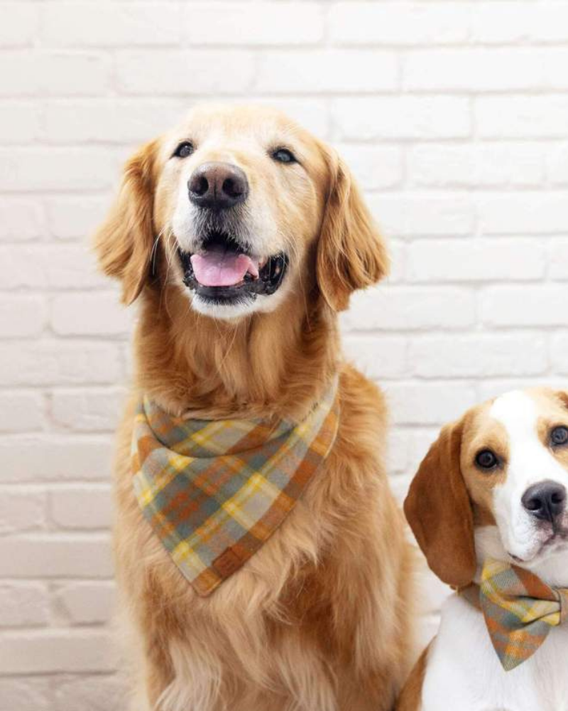 Harvest Plaid Flannel Dog Bandana (Made in the USA) Wear THE FOGGY DOG   