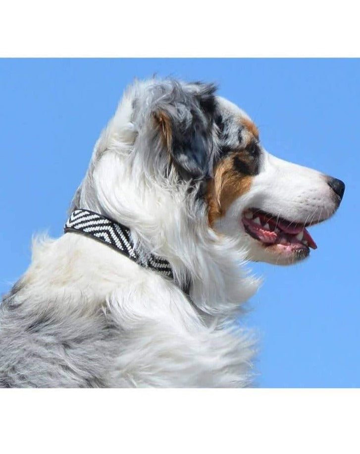 Zebra Pattern Black & White Beaded Dog Collar<br>(FINAL SALE) WALK THE KENYAN COLLECTION   