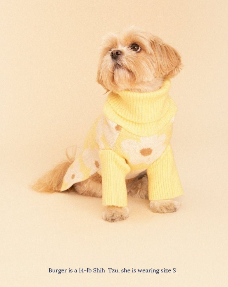 Sunny Side Dog Sweater (FINAL SALE) Wear LITTLE BEAST   