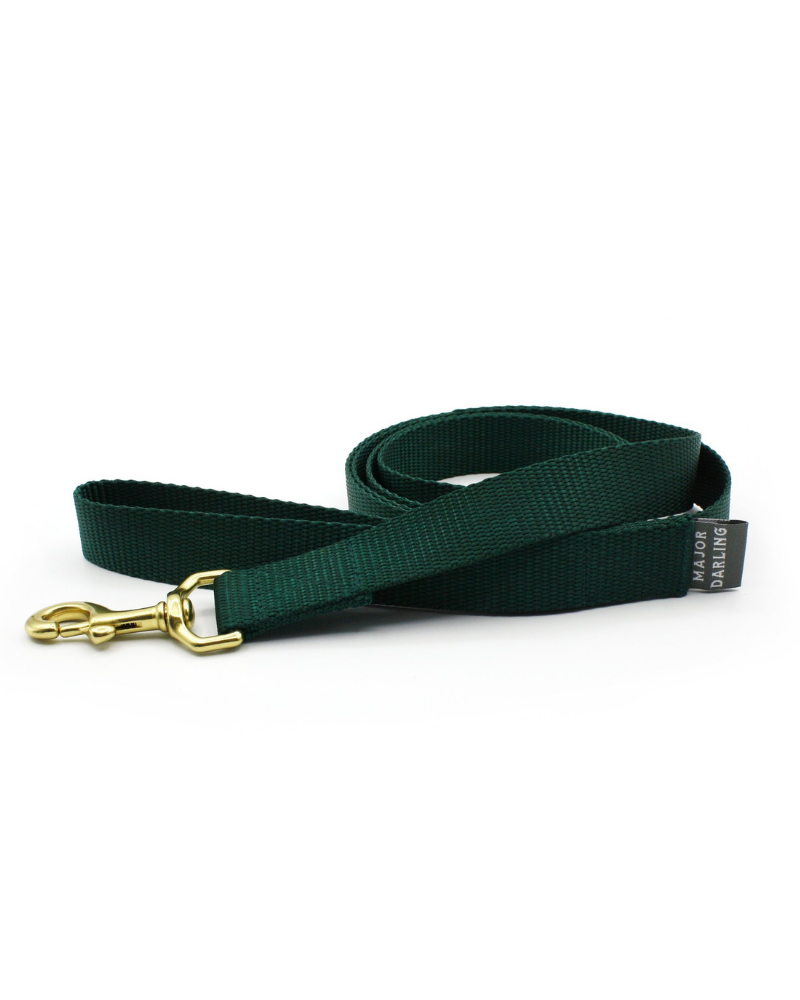 Basic Nylon Dog Leash in Evergreen (Made in the USA) WALK MAJOR DARLING   