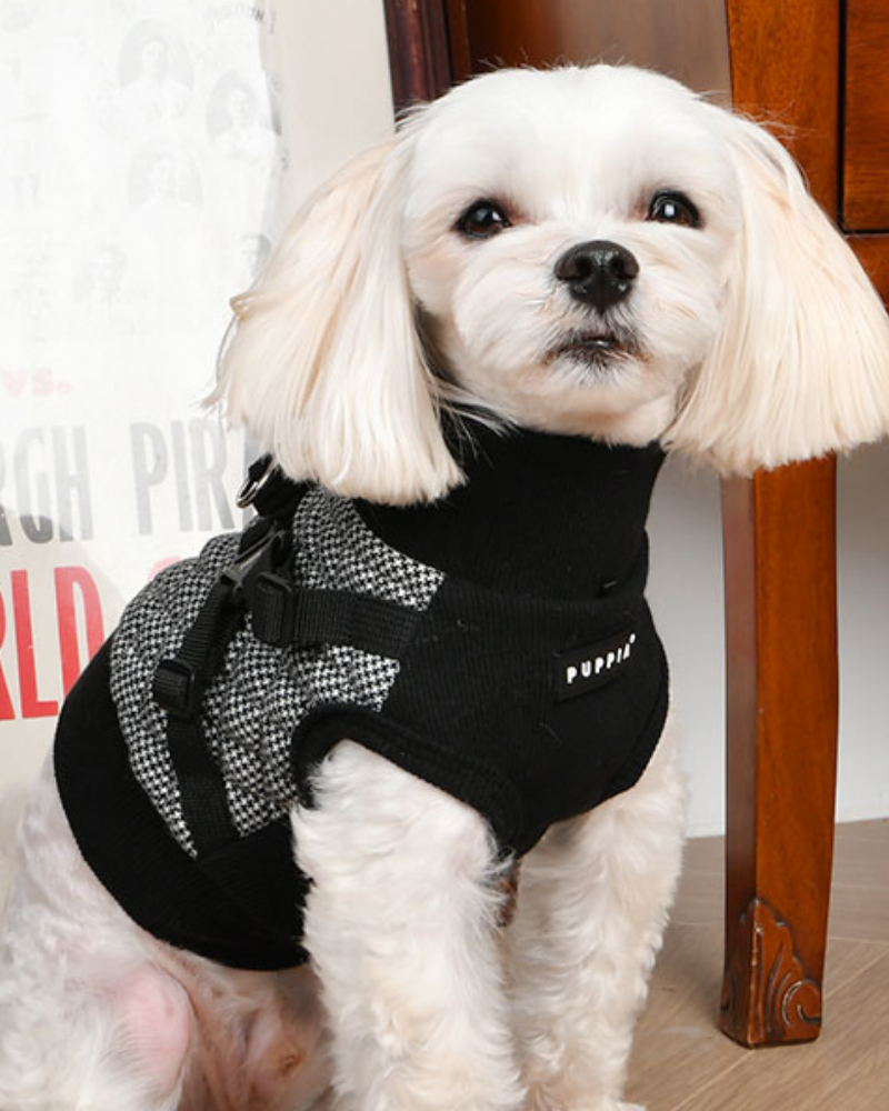 Gaspar Dog Harness Vest in Black Houndstooth Wear PUPPIA   