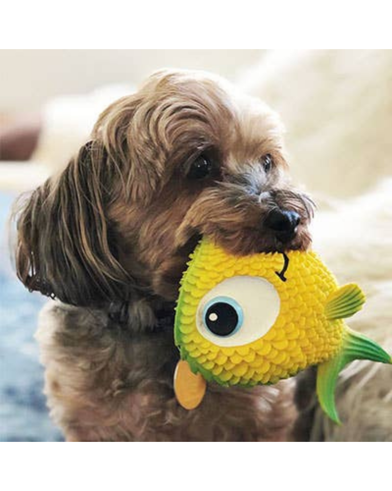 Freddy Fish Natural Latex Soft Squeaky Dog Toy Play LANCO TOYS   