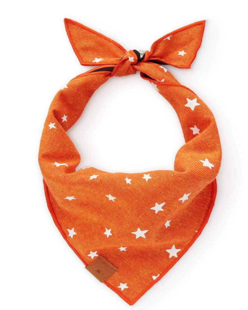 Going Batty Reversible Dog Bandana (Made in the USA) Wear THE FOGGY DOG   