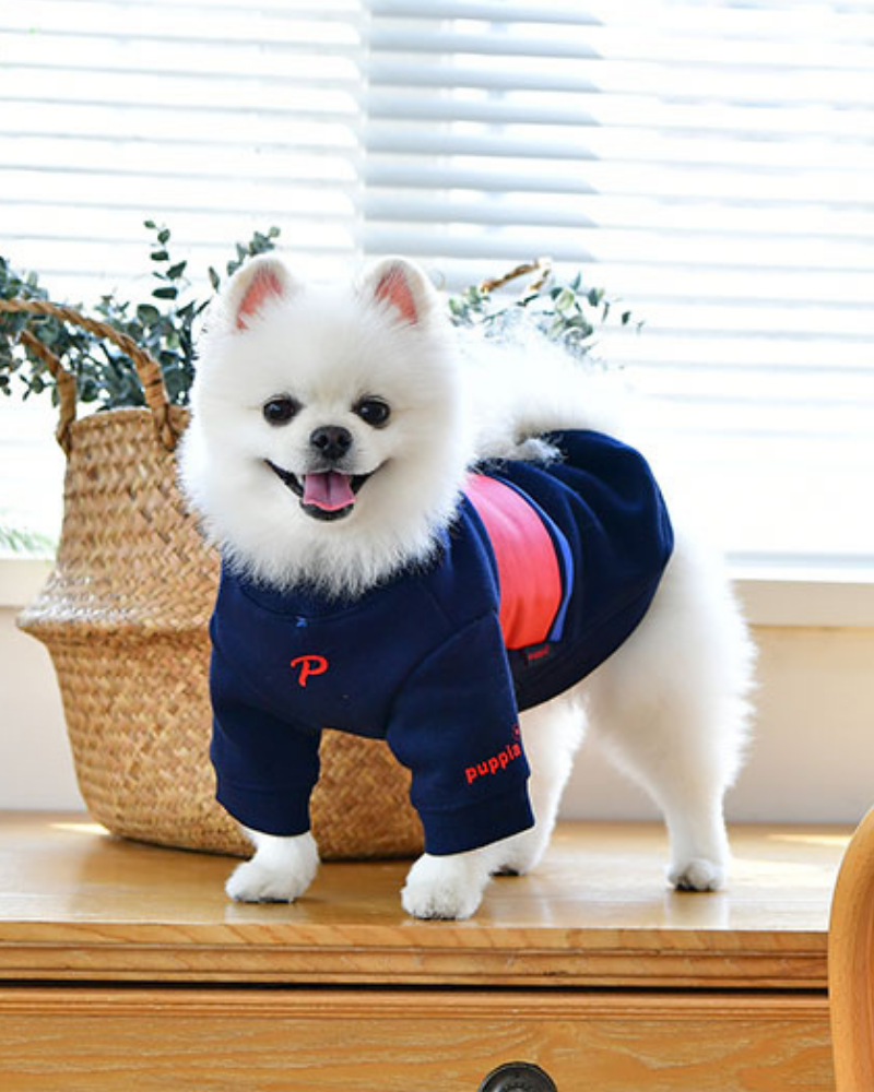 Blaze Long Sleeve Dog Pullover in Navy (FINAL SALE) Wear PUPPIA   