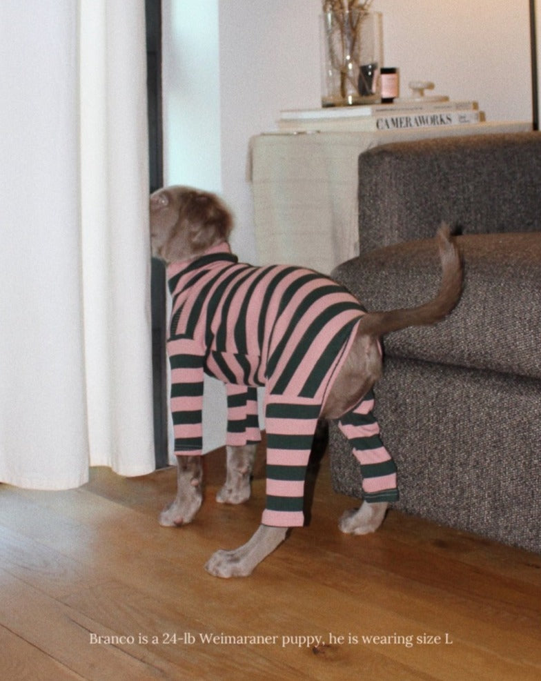 Pink Elephant Stripe Ribbed Onesie (FINAL SALE) Wear LITTLE BEAST   