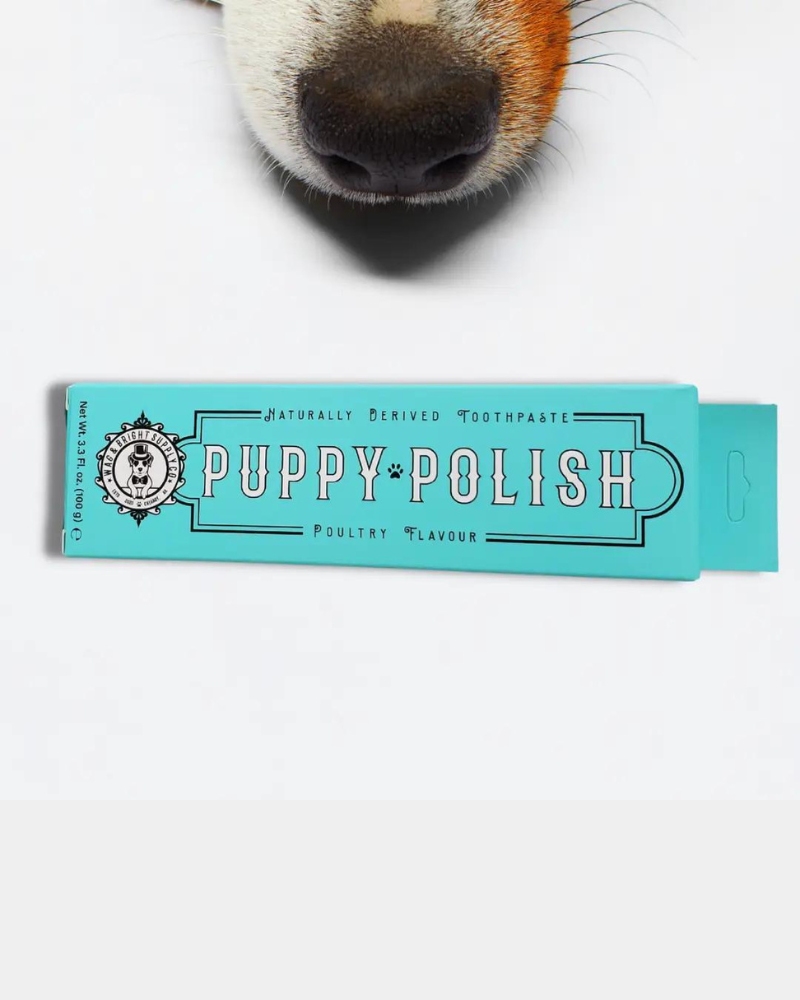 Puppy Polish Natural Dog Toothpaste HOME WAG & BRIGHT SUPPLY CO.   